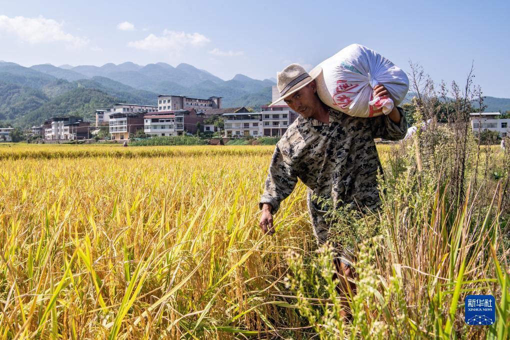斗牛游戏网游